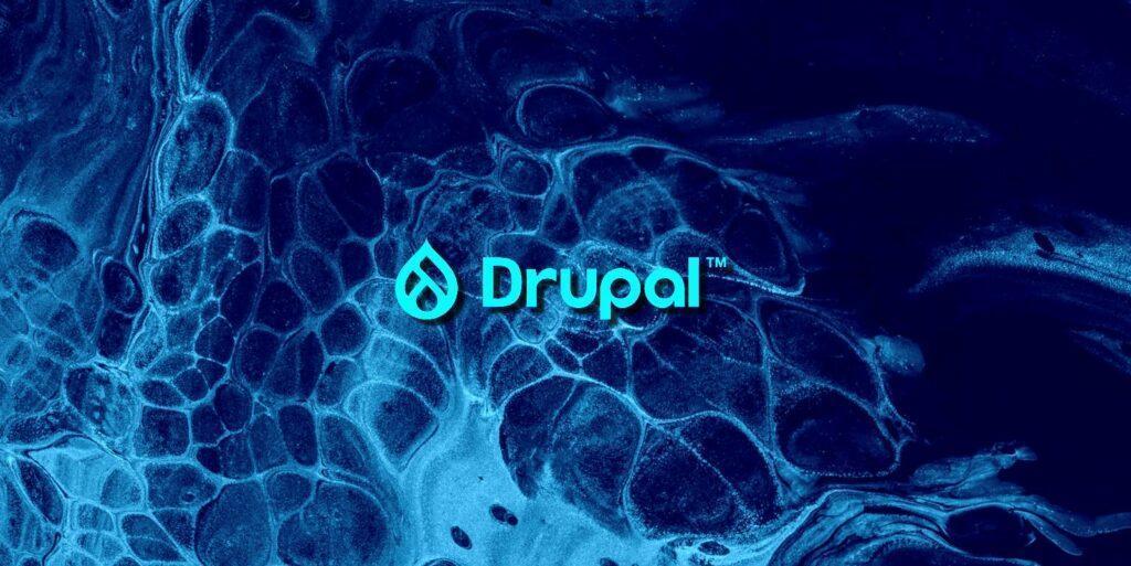 Top 10 Drupal Modules To Have