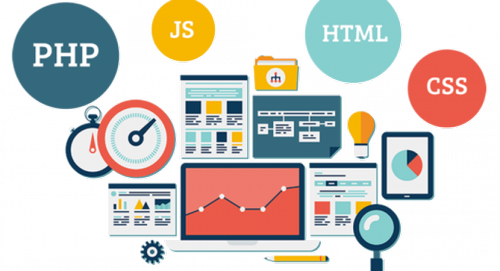 Advantages Of Custom Web Development Over Ready-Made Theme